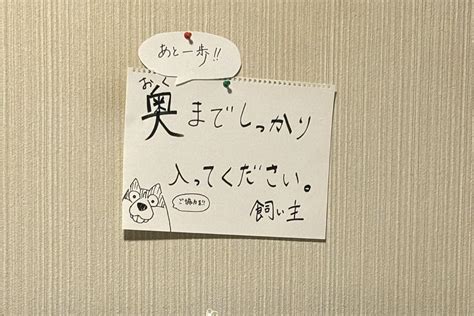 トイレが苦手な犬への対応ガイド