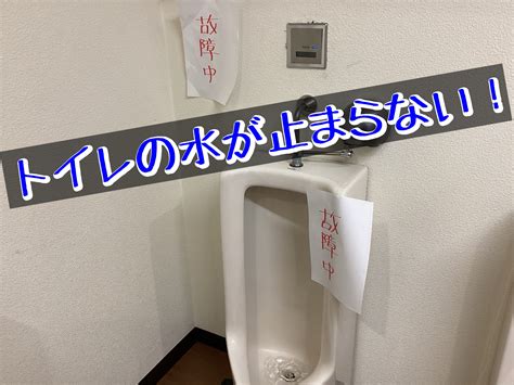 トイレでくしゃみが止まらなくなる原因と対処法