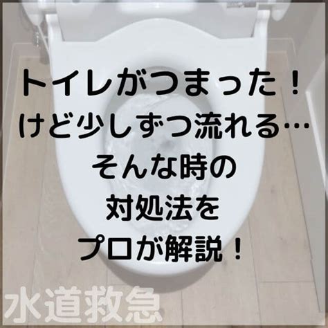 トイレで寝てしまう：原因、対処法、予防策