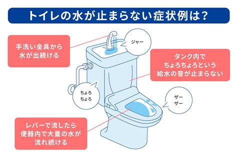 トイレにくしゃみが止まらないときに試したい対処法と予防策