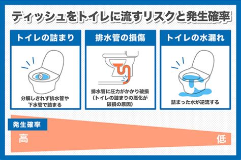 トイレにティッシュは必須！そのメリットと注意点