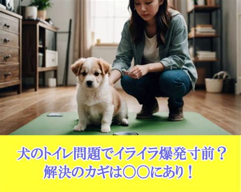 トイレを覚えられない犬