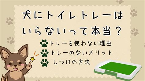 トイレを覚えられない犬への効果的なしつけ法