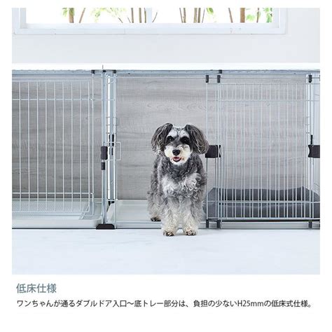 トイレサークルで犬をしつける方法