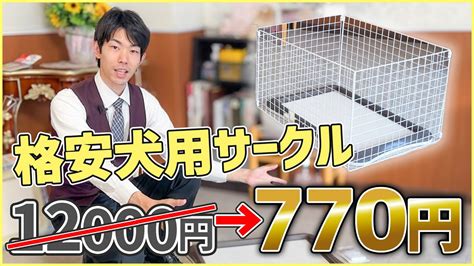 トイレサークルを使用した愛犬のしつけガイド