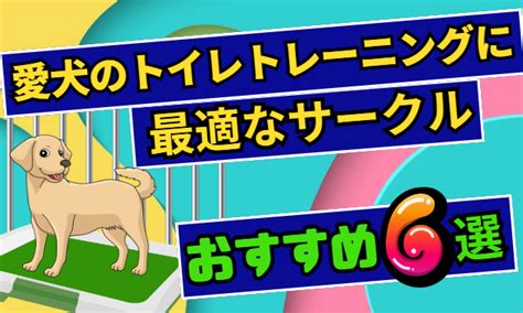 トイレトレーニングで愛犬を快適に