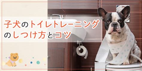 トイレトレーニングをマスターしよう！愛犬をトイレで用を足させるための究極ガイド