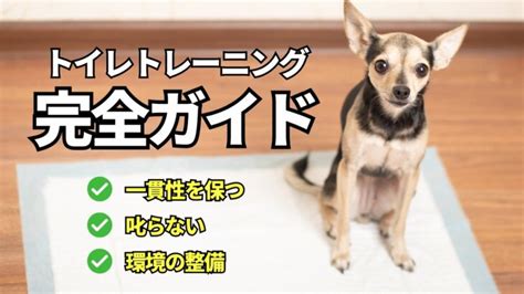 トイレトレーニング犬法の完全ガイド