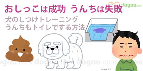 トイレトレーニング：うんちだけできない犬への対処法