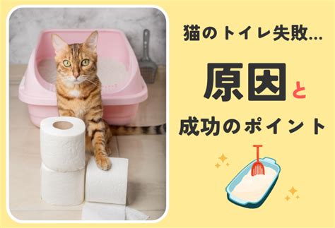 トイレ失敗の原因