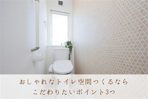 トイレ棒の驚くべき活用法：10,000文字の徹底ガイド