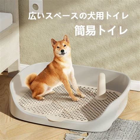 トイレ トレー 犬: 初心者向け包括ガイド