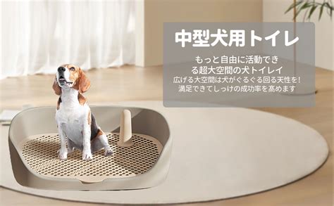 トイレ 犬: 犬にトイレを教える究極のガイド