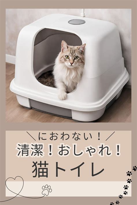 トライアル猫砂で快適な猫のトイレタイムを！