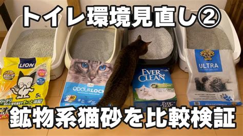 トライアル猫砂で猫のトイレ習慣を賢く改善