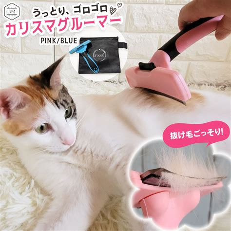 トリマー 猫：プロのペットグルーマーになるための究極のガイド