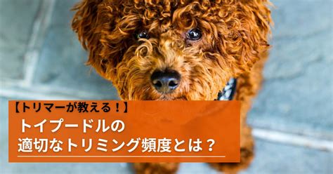 トリミングの頻度：理想的なタイミングは？