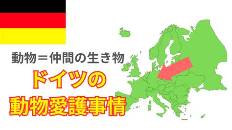 ドイツの動物愛護：進歩した法律と取り組み