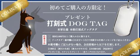 ドイツ語犬の名前：伝統的でユニークな響き