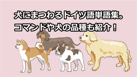 ドイツ語犬名の魅力