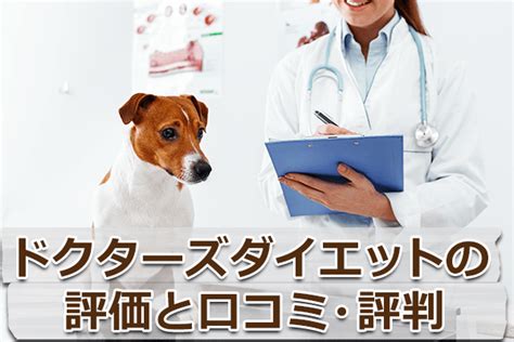 ドクターズダイエット キャット 販売終了 の最新情報と今後のおすすめフード