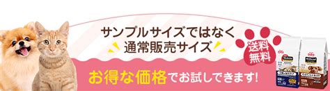 ドクターズ ケア 猫: 愛猫の健康を守るための包括ガイド