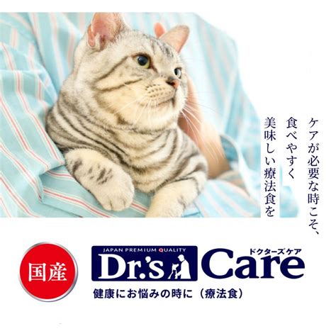 ドクターズ ケア 猫: 猫を健康に保つための包括的なガイド