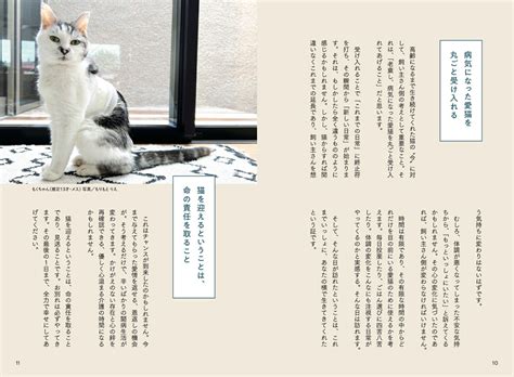 ドクター・プロ猫の究極ガイド：愛猫の健康を守るために知っておくべきことすべて