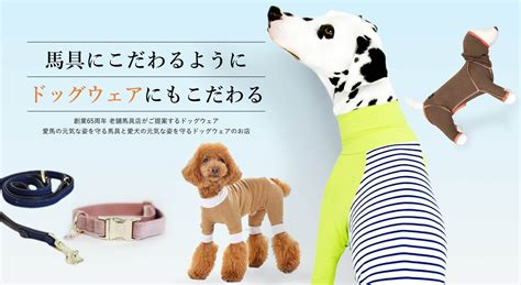 ドックウェア: 愛犬を守るための完全ガイド