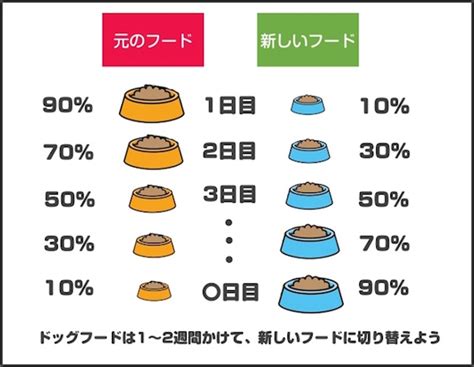 ドックフードの評判：ペットの健康を守るために