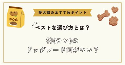 ドックフードの選び方