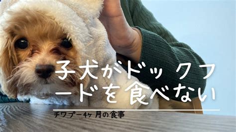 ドックフード 食べない！: 愛犬の食欲不振を克服する究極のガイド