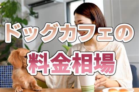 ドッグカフェの選び方