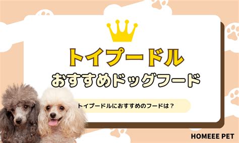 ドッグトイの選び方