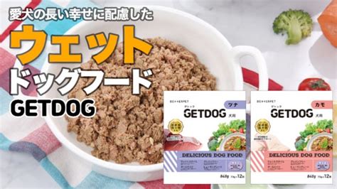 ドッグフード通販で愛犬の健康と幸せをサポート！