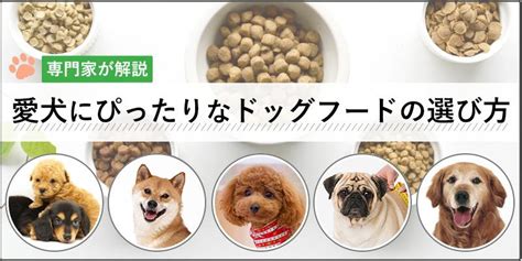 ドッグフード おすすめガイド: 愛犬の健康と幸せを支える賢い選択