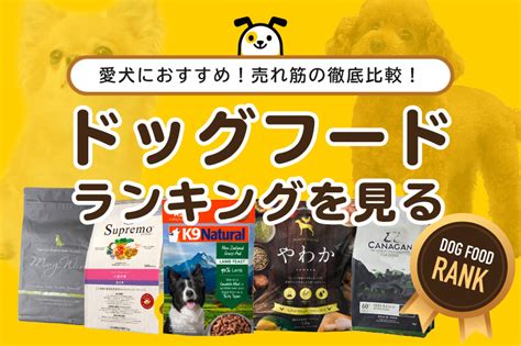 ドッグフード ランキング: 愛犬に最高の食事を与える