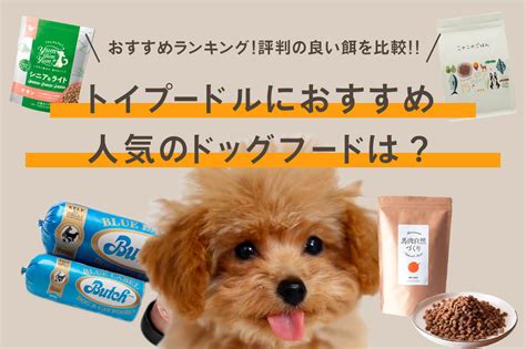 ドッグフード 人気ランキングで選ぶ！愛犬にぴったりのフードを厳選