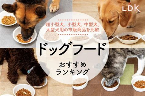 ドッグフード 人気ランキング＆選び方｜愛犬の健康に最適なフードを厳選