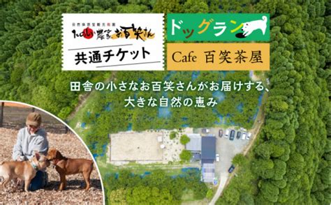 ドッグランカフェで愛犬と楽しいひとときを