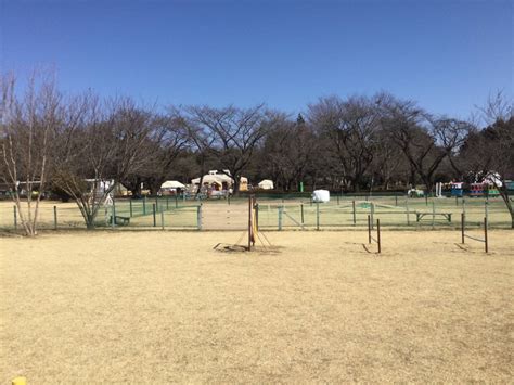 ドッグラン尼崎徹底ガイド：愛犬と最高のひとときを過ごすためのスポットをご案内