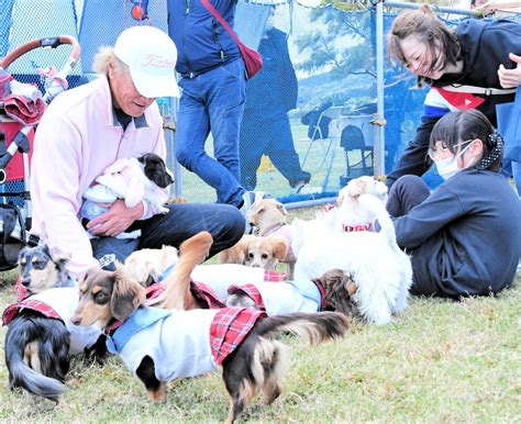 ドッグラン カフェ フルールで愛犬と楽しいひとときを過ごそう！