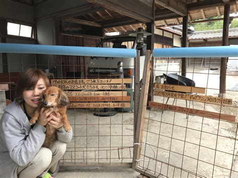 ドッグラン カフェ フルール：ワンちゃんと飼い主の憩いの場