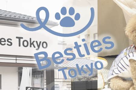 ドッグラン カフェ フルール：愛犬と過ごす至福のひととき