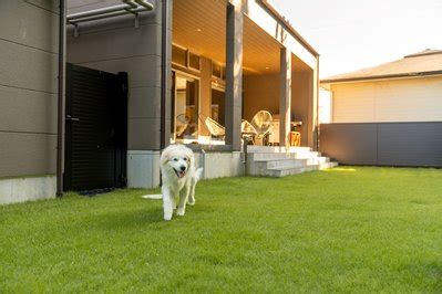 ドッグラン カフェ フルール 〜愛犬と過ごす癒しのひととき〜