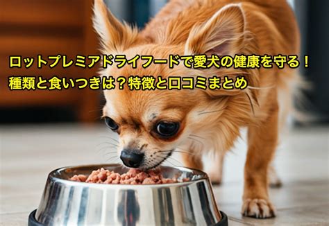 ドライフードで愛犬の健康と笑顔を叶えよう！