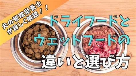 ドライフードとウェットフード: 愛犬に最適な食事の選び方