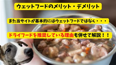 ドライフードとウェットフード、混ぜて犬に与えても大丈夫？