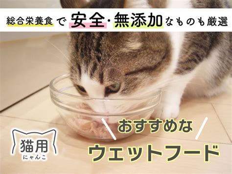 ドライフードとウェットフード：愛猫の食生活に最適な選択肢とは？