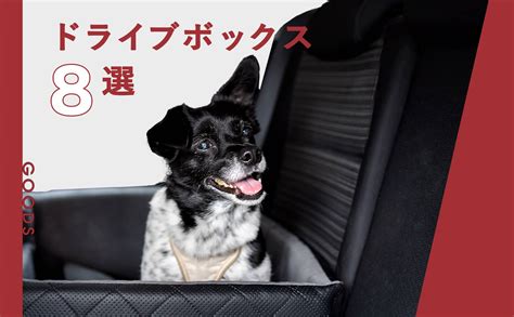 ドライブを愛犬と一緒に楽しむためのガイド